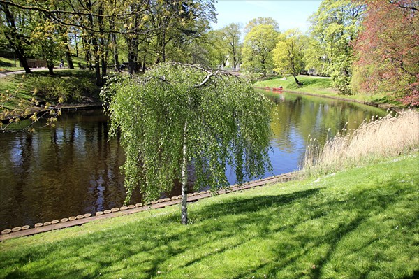 244-Парк Бастионная горка